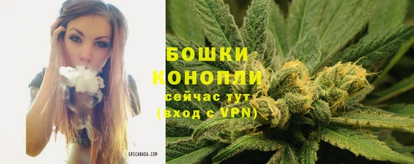 a pvp Карпинск