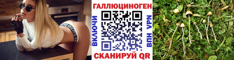 Галлюциногенные грибы ЛСД  Купить закладки  Жирновск 